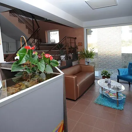 Violetta Apartament *